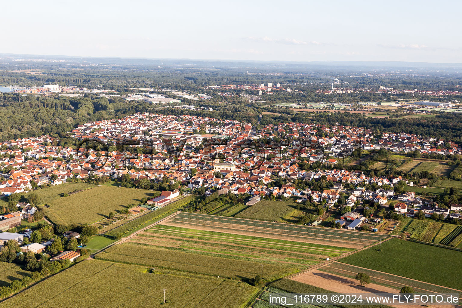 Lingenfeld in the state Rhineland-Palatinate, Germany from above