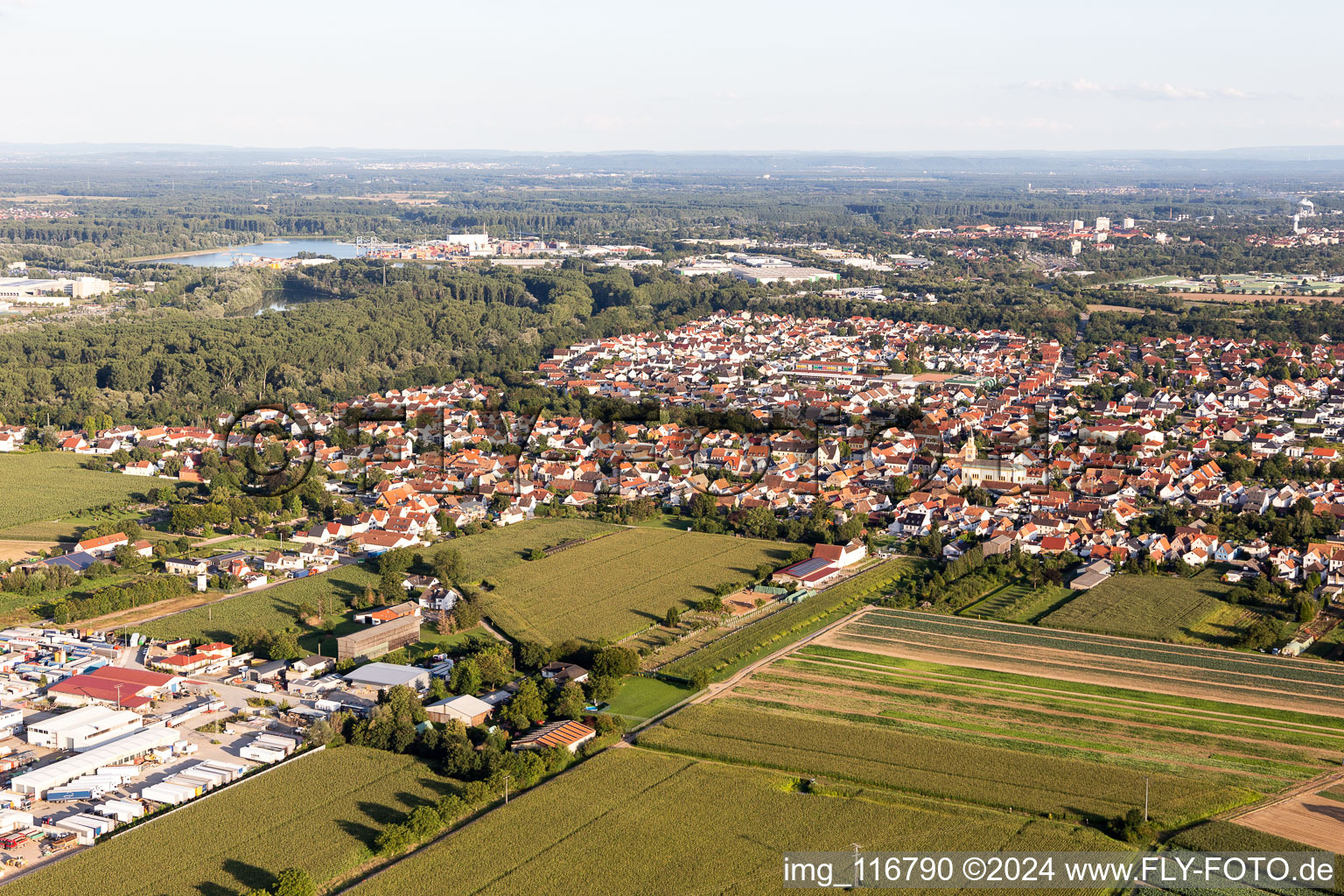 Lingenfeld in the state Rhineland-Palatinate, Germany from the plane