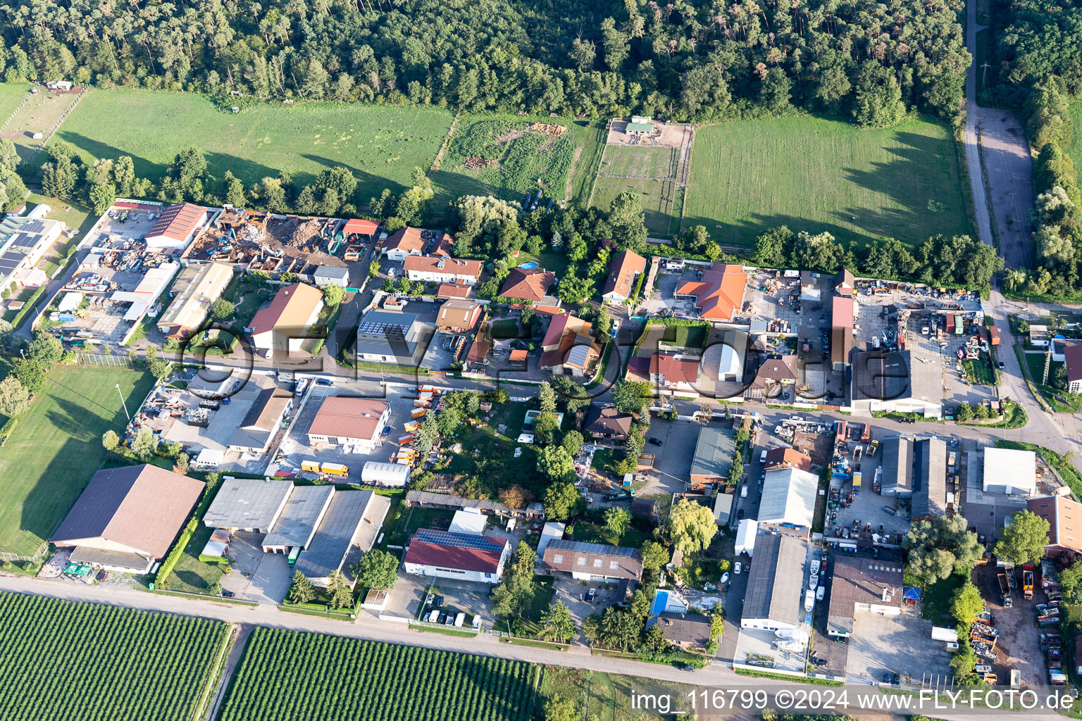 Industrial area Am Unteren Griesweg with C-Tec KFT in Lustadt in the state Rhineland-Palatinate, Germany