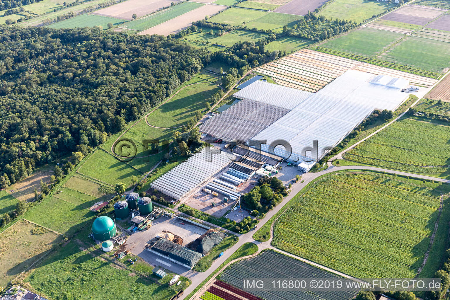 Aerial view of Rudolf Sinn Young Plants GmbH in Lustadt in the state Rhineland-Palatinate, Germany