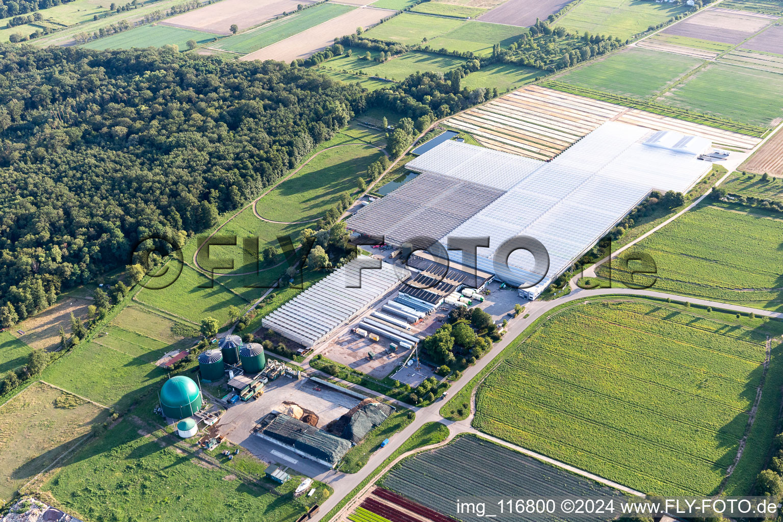 Aerial view of Rudolf Sinn Young Plants GmbH in Lustadt in the state Rhineland-Palatinate, Germany