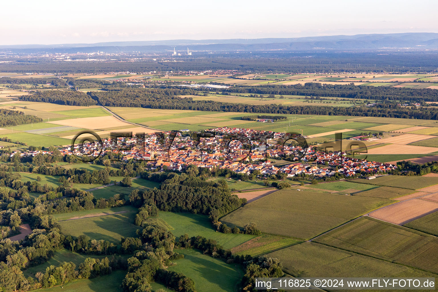 Aerial photograpy of Steinweiler in the state Rhineland-Palatinate, Germany