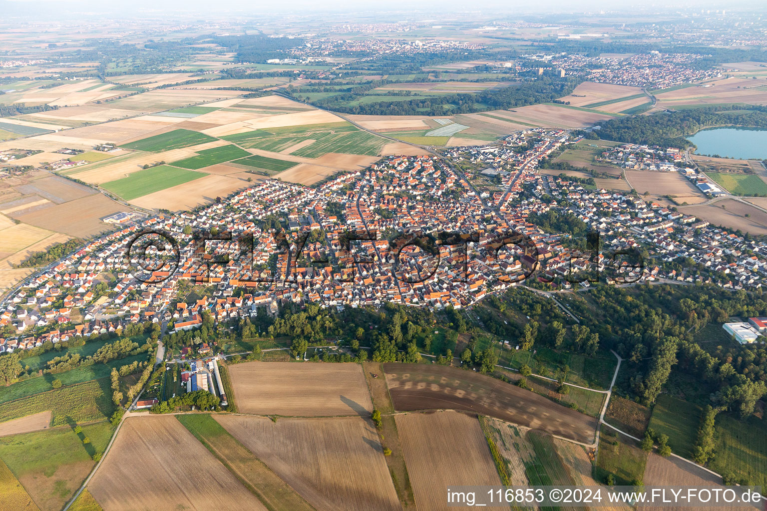 Aerial view of Waldsee in the state Rhineland-Palatinate, Germany