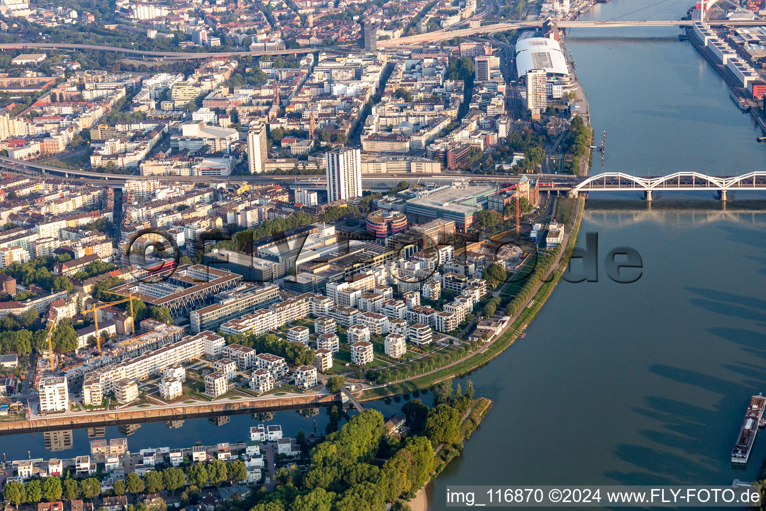 Aerial view of Residential and commercial building in the development area on the quayside of the Rhein at the Rheinschanzenpromenade in Ludwigshafen am Rhein in the state Rhineland-Palatinate, Germany