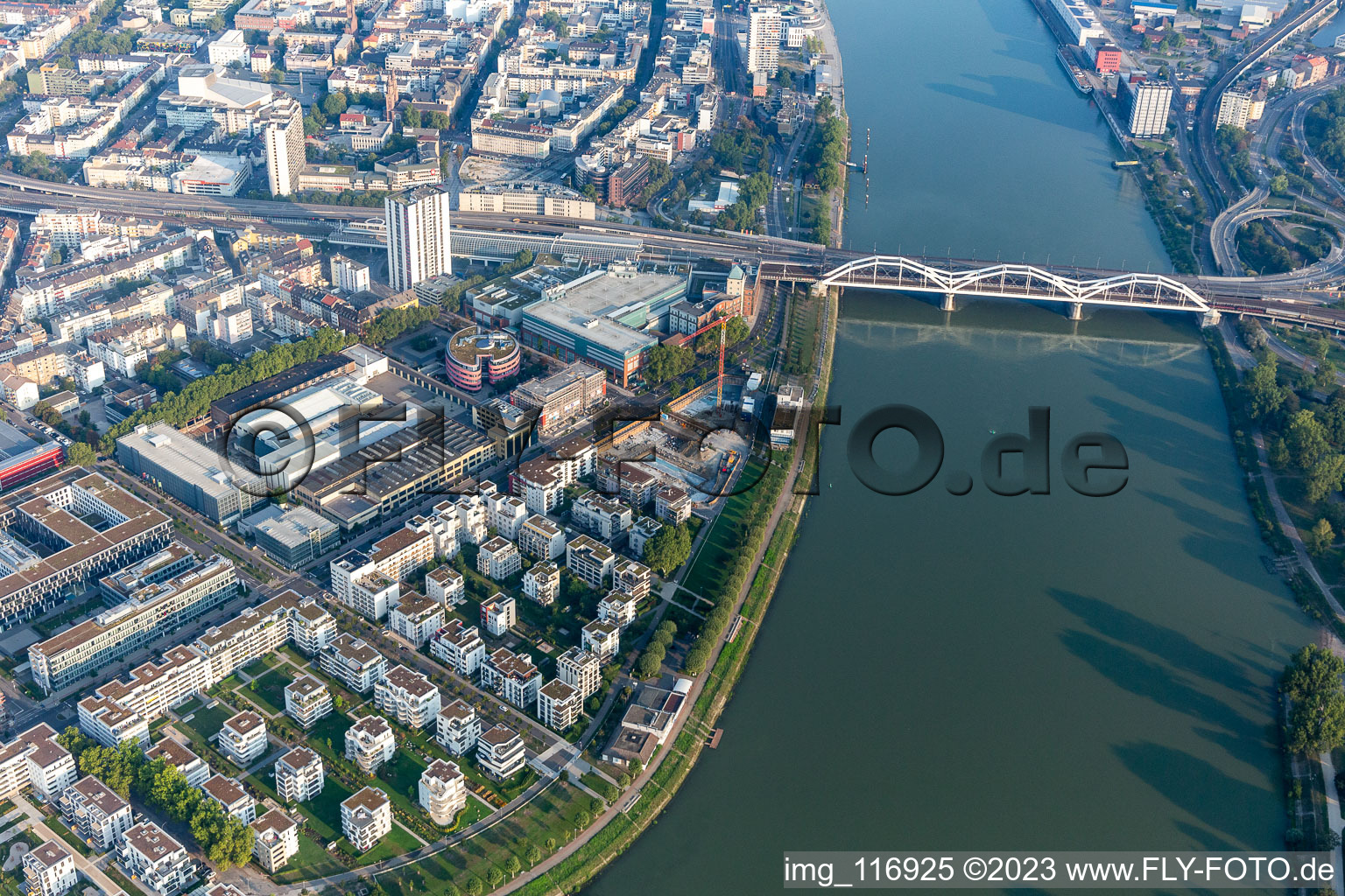 Living by the river, Rheinschanzenpromenade in the district Süd in Ludwigshafen am Rhein in the state Rhineland-Palatinate, Germany from above