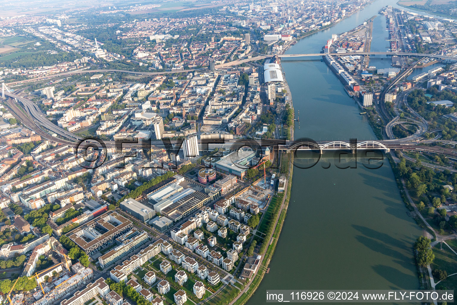 Living by the river, Rheinschanzenpromenade in the district Süd in Ludwigshafen am Rhein in the state Rhineland-Palatinate, Germany out of the air