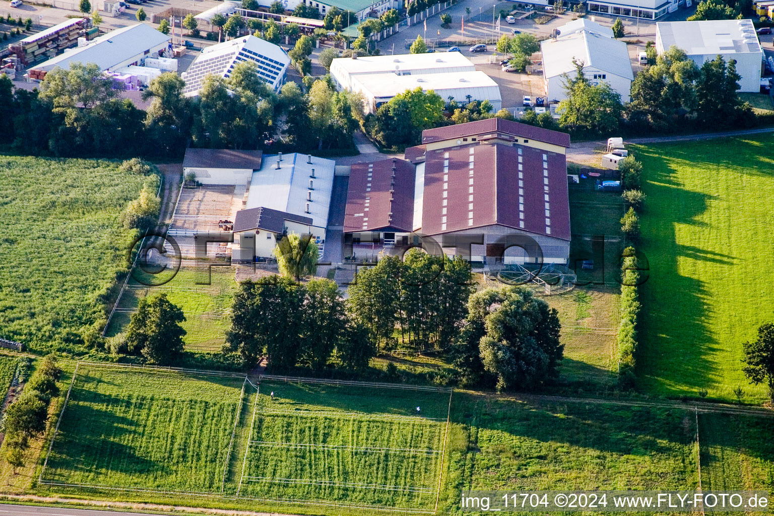 Horse farm in the district Minderslachen in Kandel in the state Rhineland-Palatinate, Germany