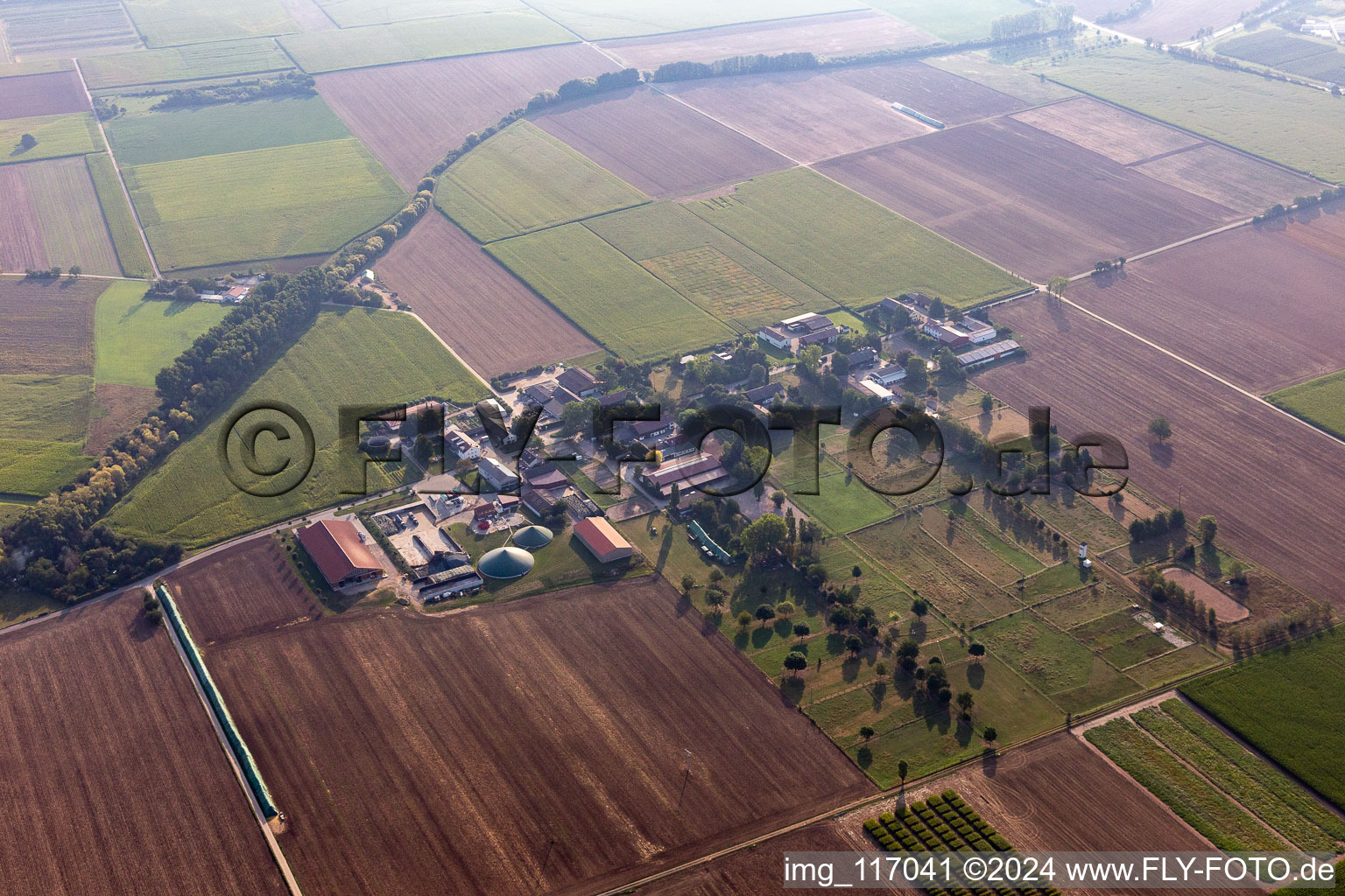 Oblique view of Ladenburg in the state Baden-Wuerttemberg, Germany