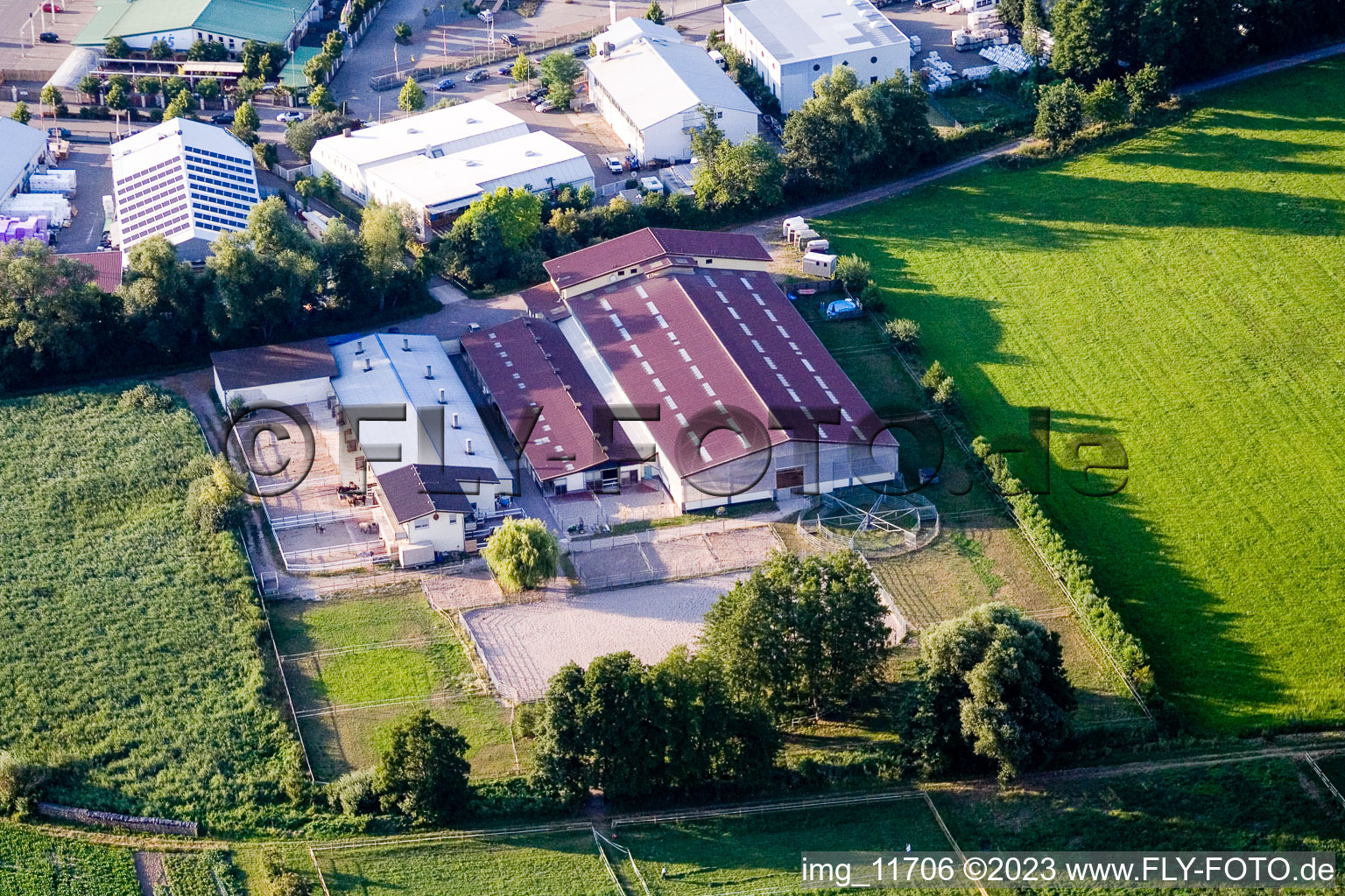 Aerial view of Horse farm in the district Minderslachen in Kandel in the state Rhineland-Palatinate, Germany