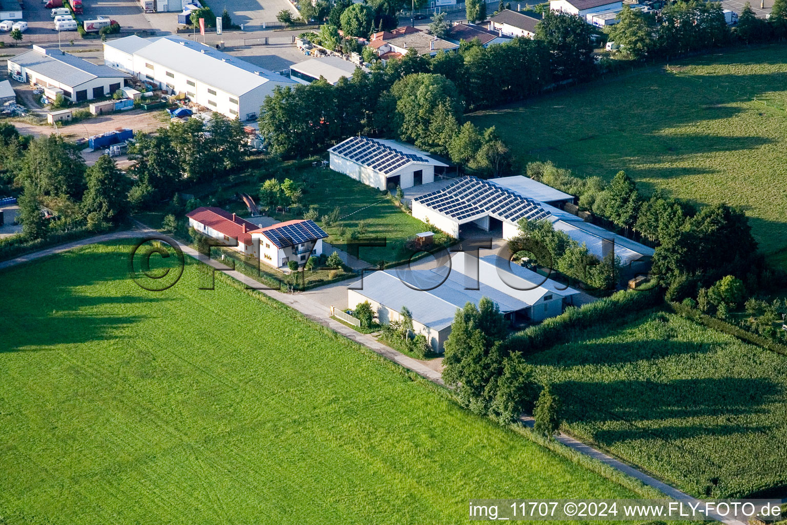 In the Rötzwiesen, Hof Fam. Kerth in the district Minderslachen in Kandel in the state Rhineland-Palatinate, Germany from above