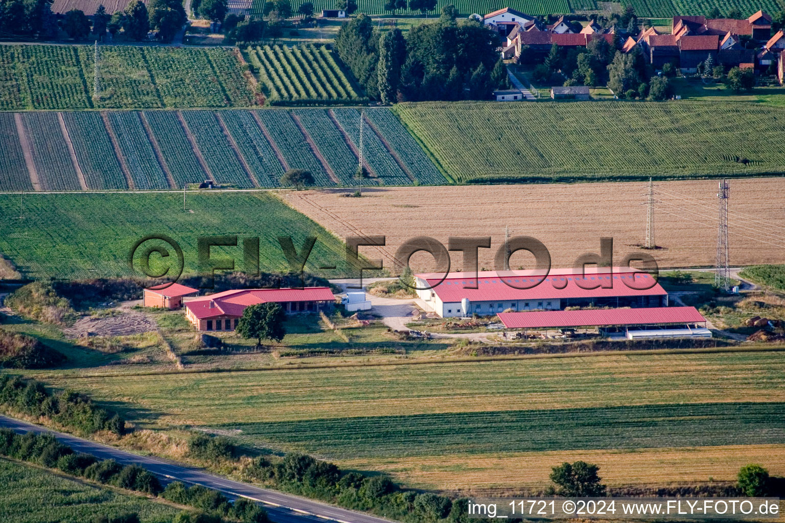 Aerial view of Chicken farm egg farm in Erlenbach bei Kandel in the state Rhineland-Palatinate, Germany