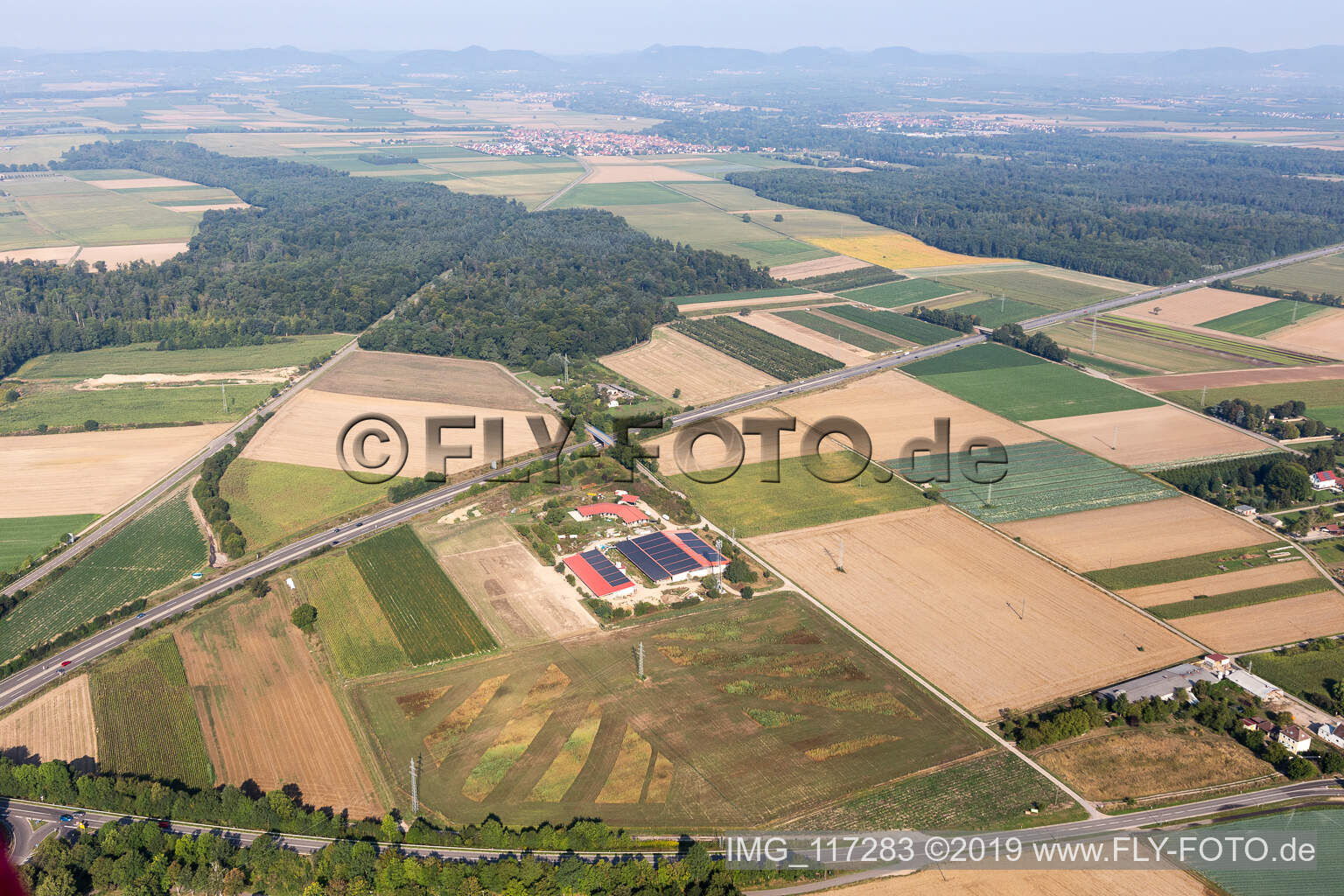 Aerial view of Egg farm in Erlenbach bei Kandel in the state Rhineland-Palatinate, Germany