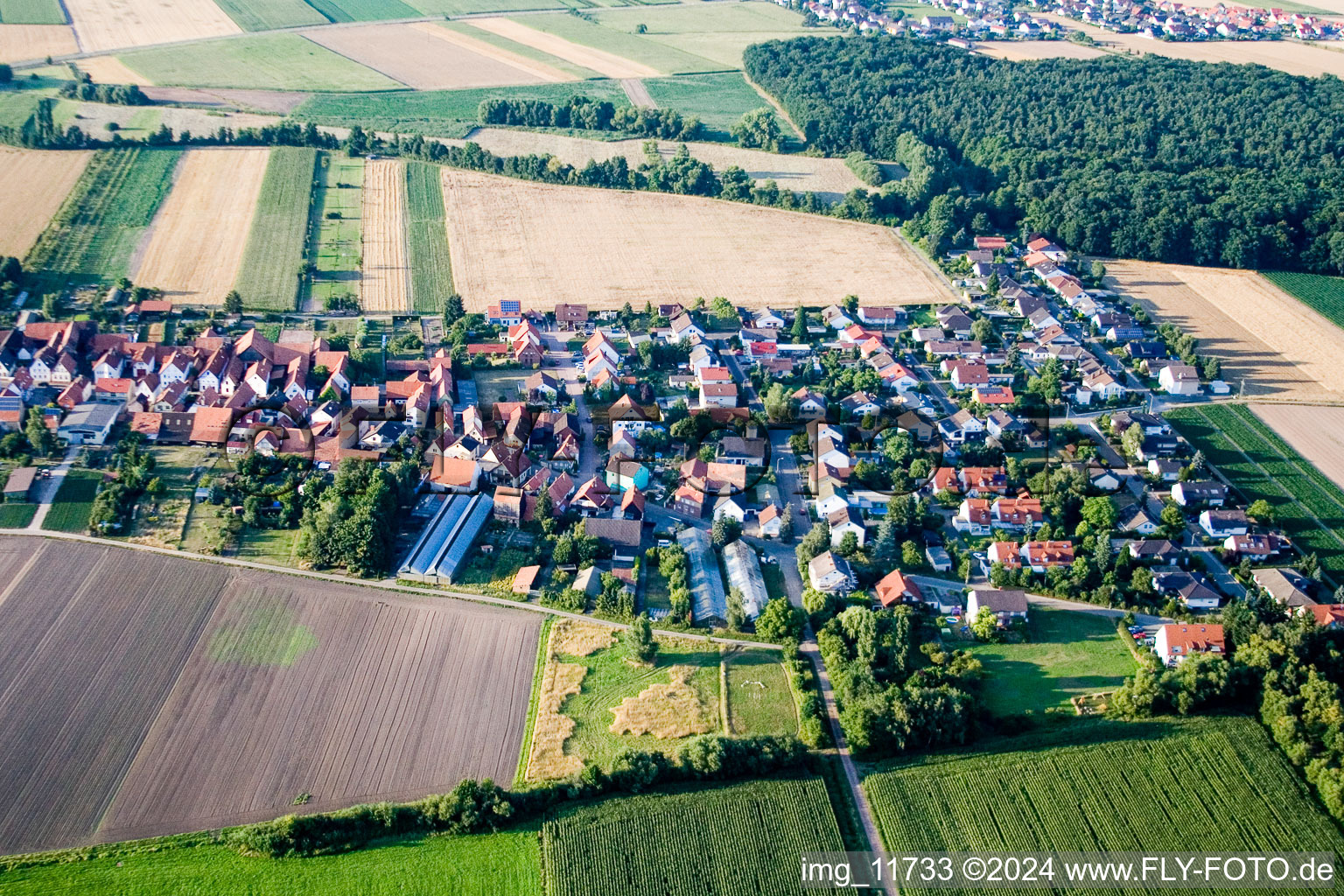 From the south in Erlenbach bei Kandel in the state Rhineland-Palatinate, Germany