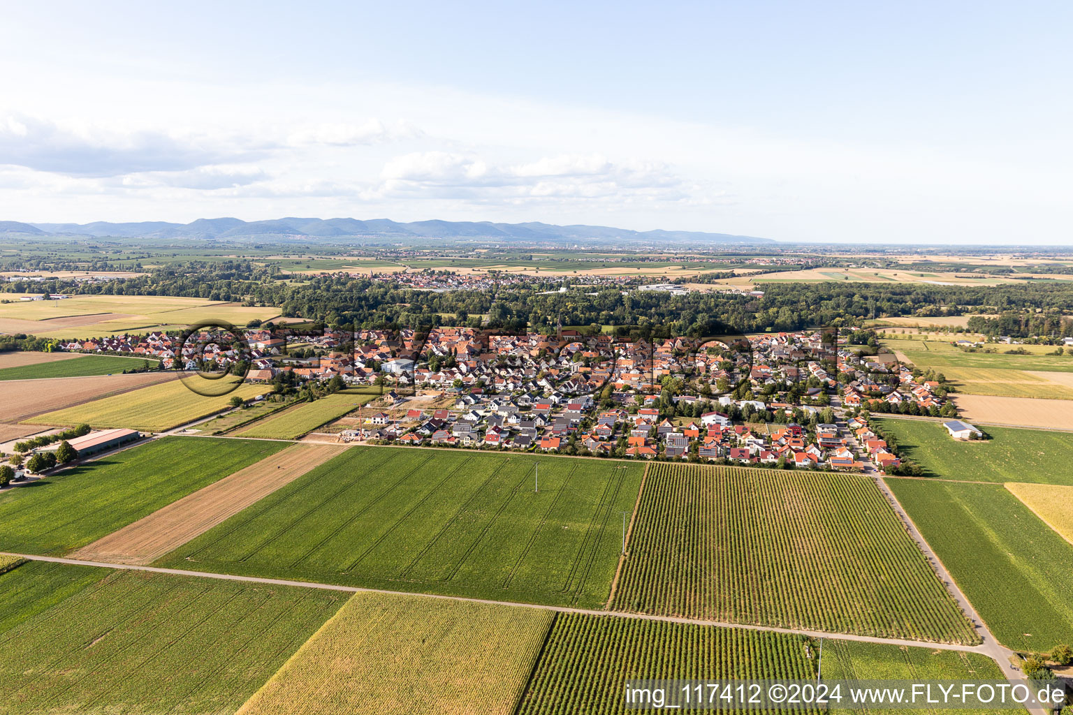 Oblique view of Steinweiler in the state Rhineland-Palatinate, Germany