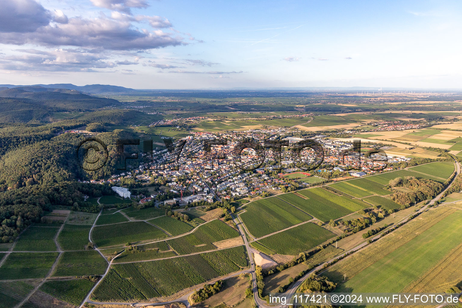 Aerial photograpy of Bad Bergzabern in the state Rhineland-Palatinate, Germany