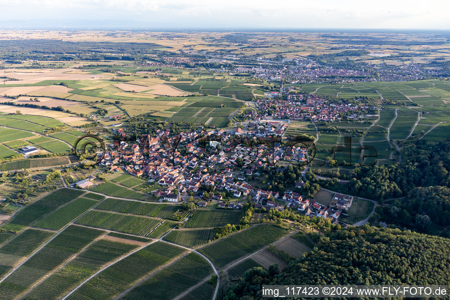 District Rechtenbach in Schweigen-Rechtenbach in the state Rhineland-Palatinate, Germany out of the air