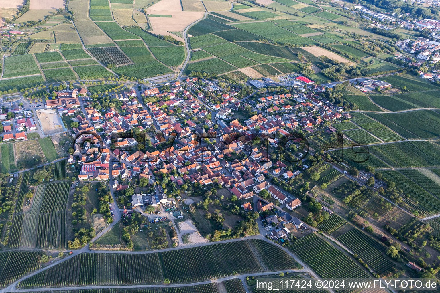 Aerial view of District Schweigen in Schweigen-Rechtenbach in the state Rhineland-Palatinate, Germany