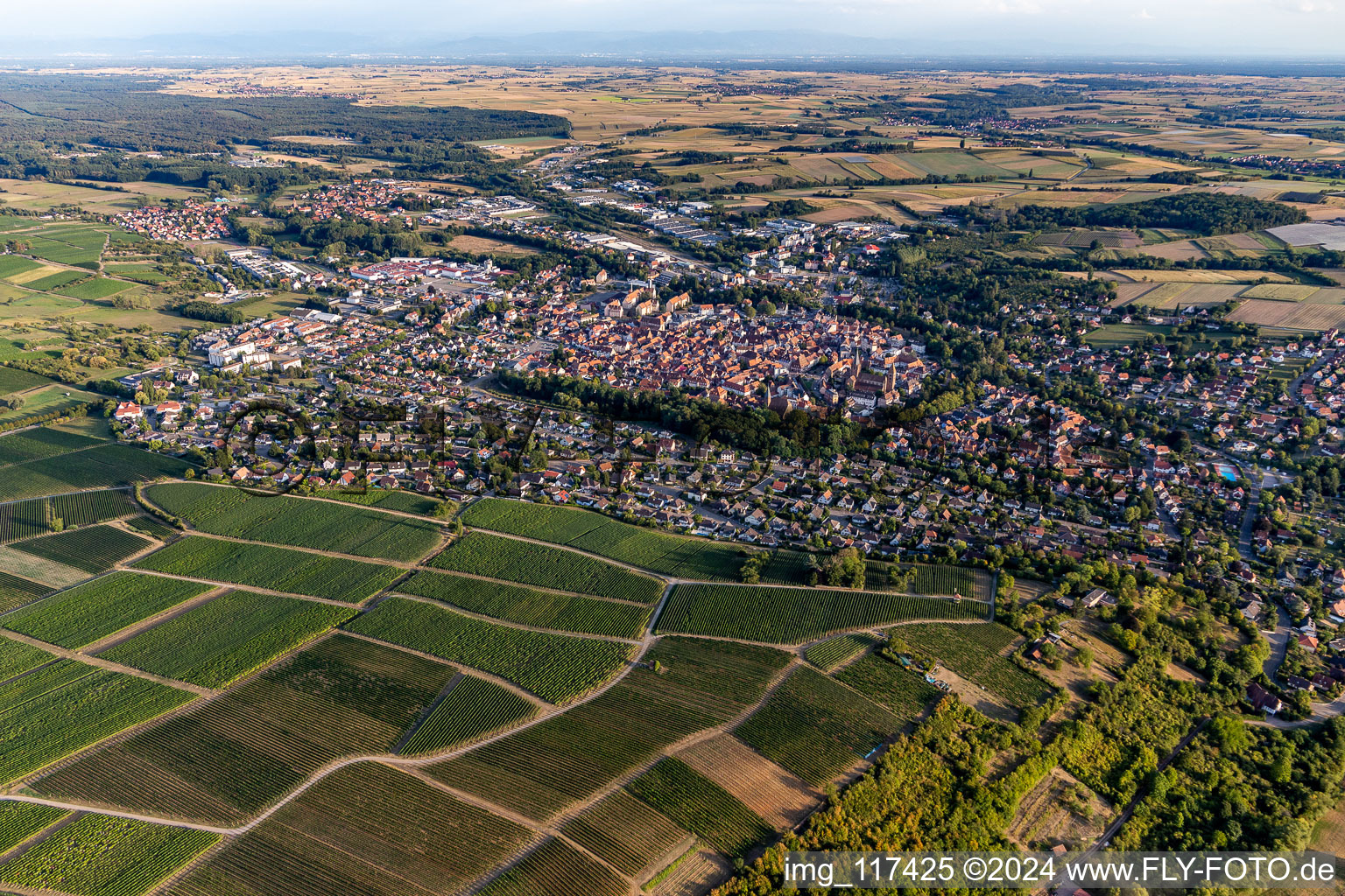 Wissembourg in the state Bas-Rhin, France from the plane