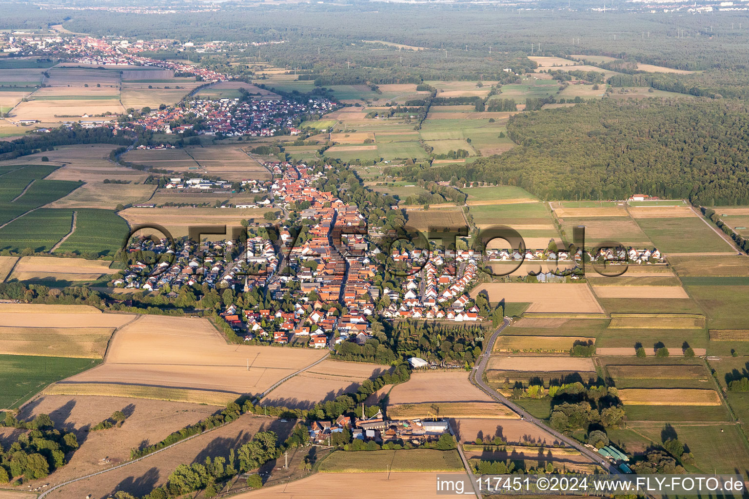 Freckenfeld in the state Rhineland-Palatinate, Germany from the drone perspective