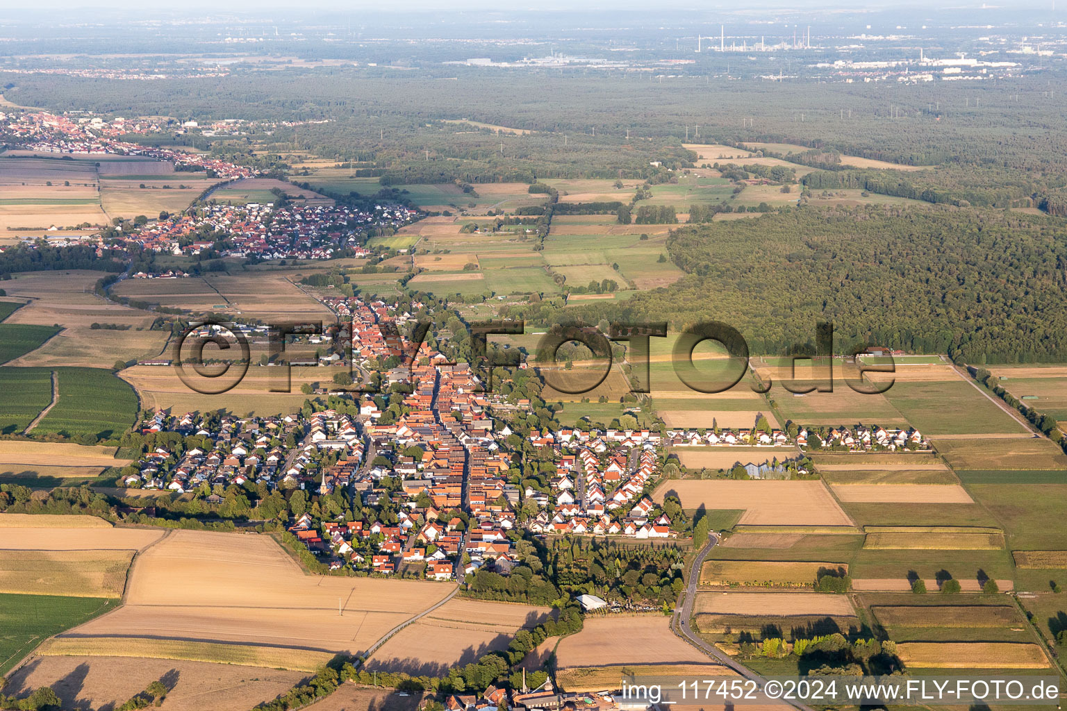 Freckenfeld in the state Rhineland-Palatinate, Germany from a drone