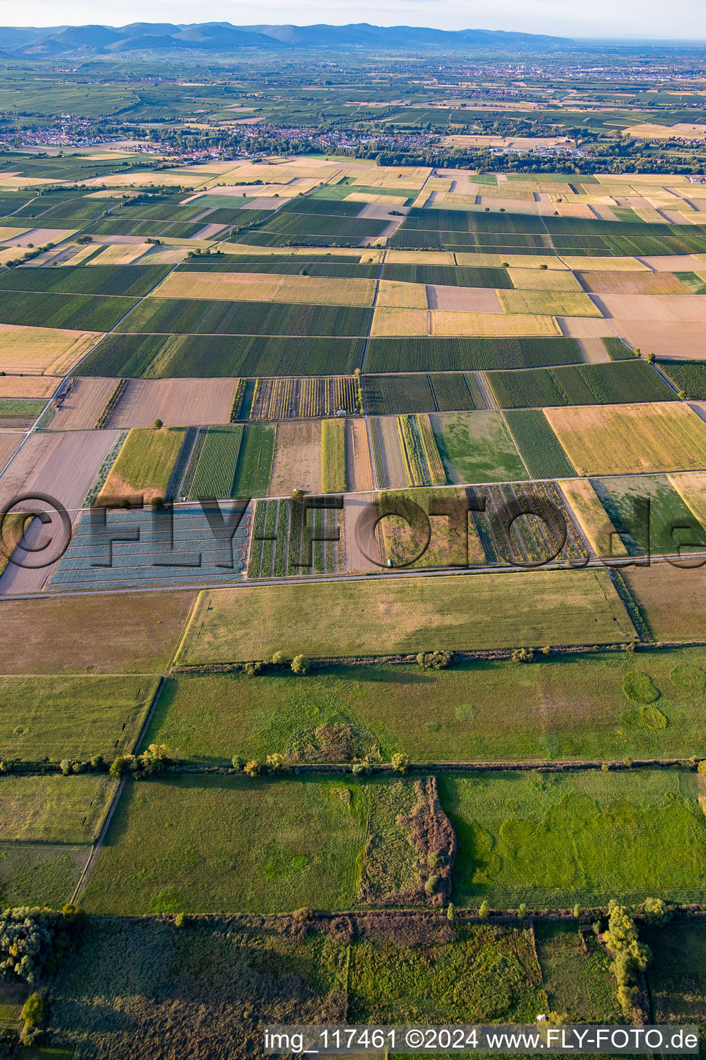 UL special landing site in Billigheim-Ingenheim in the state Rhineland-Palatinate, Germany