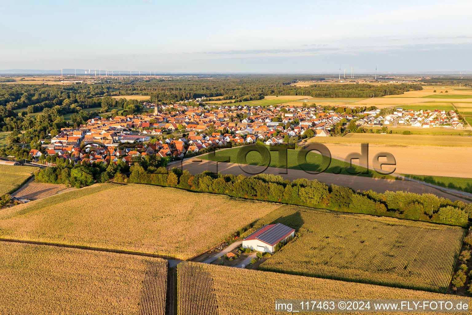 Steinweiler in the state Rhineland-Palatinate, Germany from above