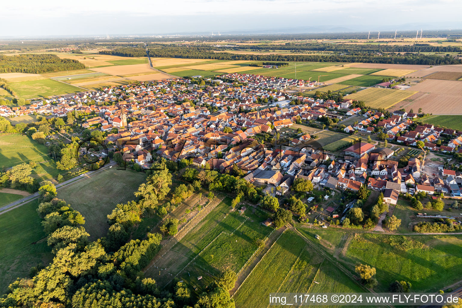 Steinweiler in the state Rhineland-Palatinate, Germany seen from above