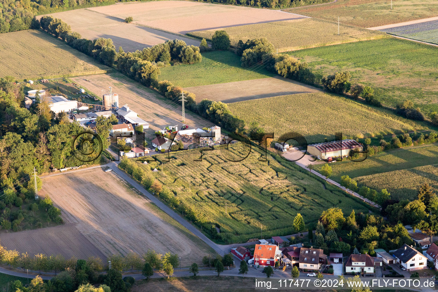 Maze - Labyrinth on a corn-field in Steinweiler in the state Rhineland-Palatinate, Germany from above