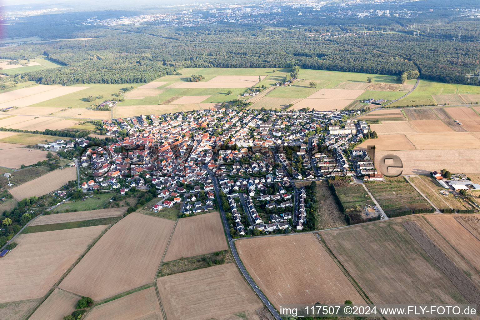 Village - view on the edge of forested areas in Wachenbuchen in the state Hesse, Germany