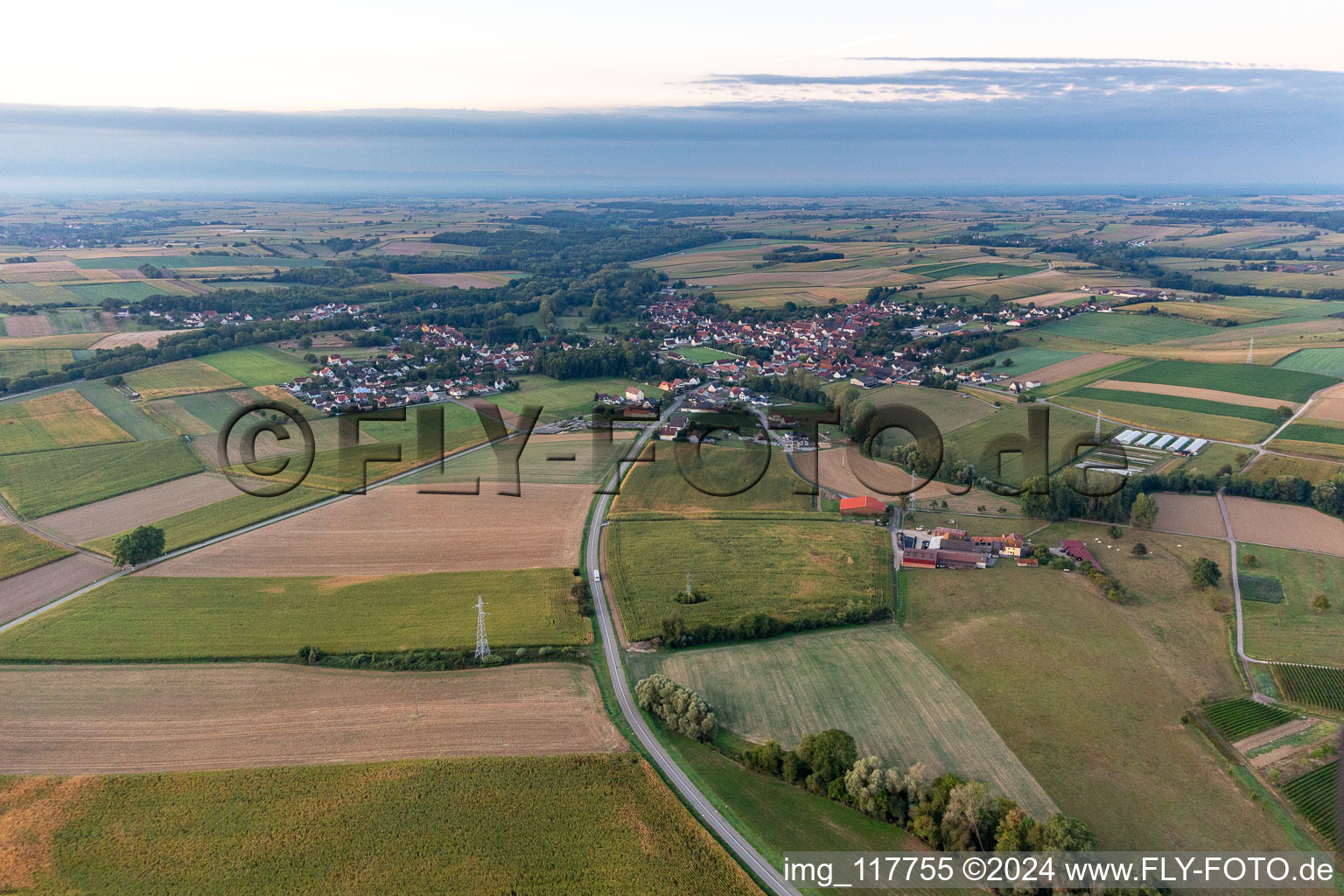 Oblique view of Riedseltz in the state Bas-Rhin, France