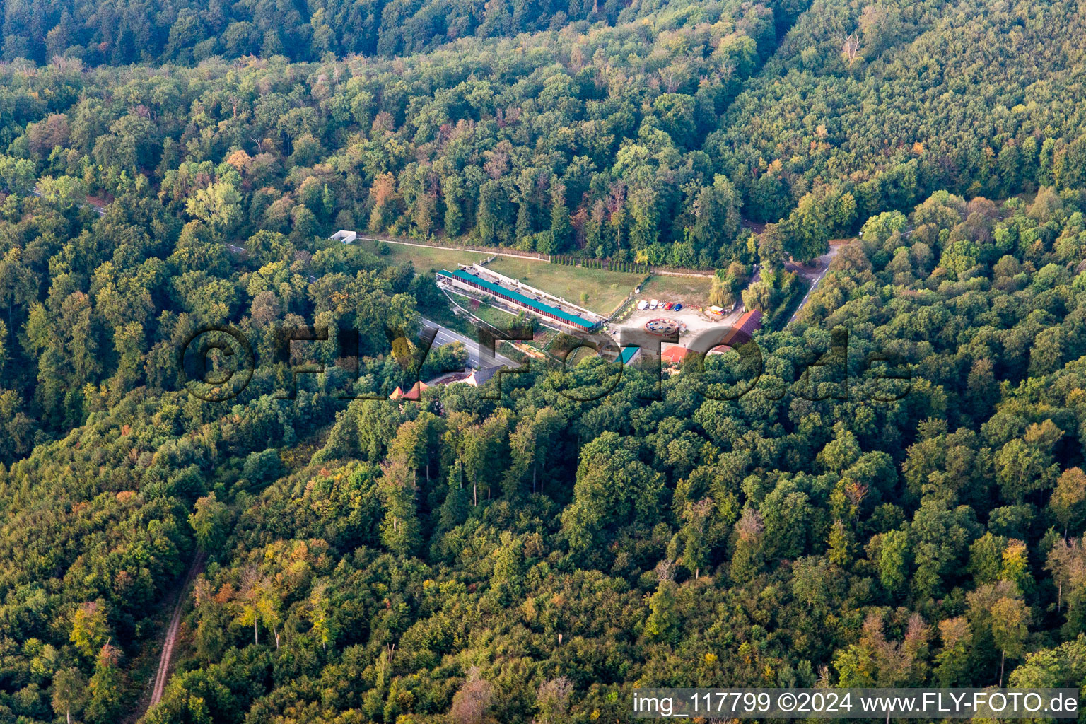 Saverne in the state Bas-Rhin, France seen from above