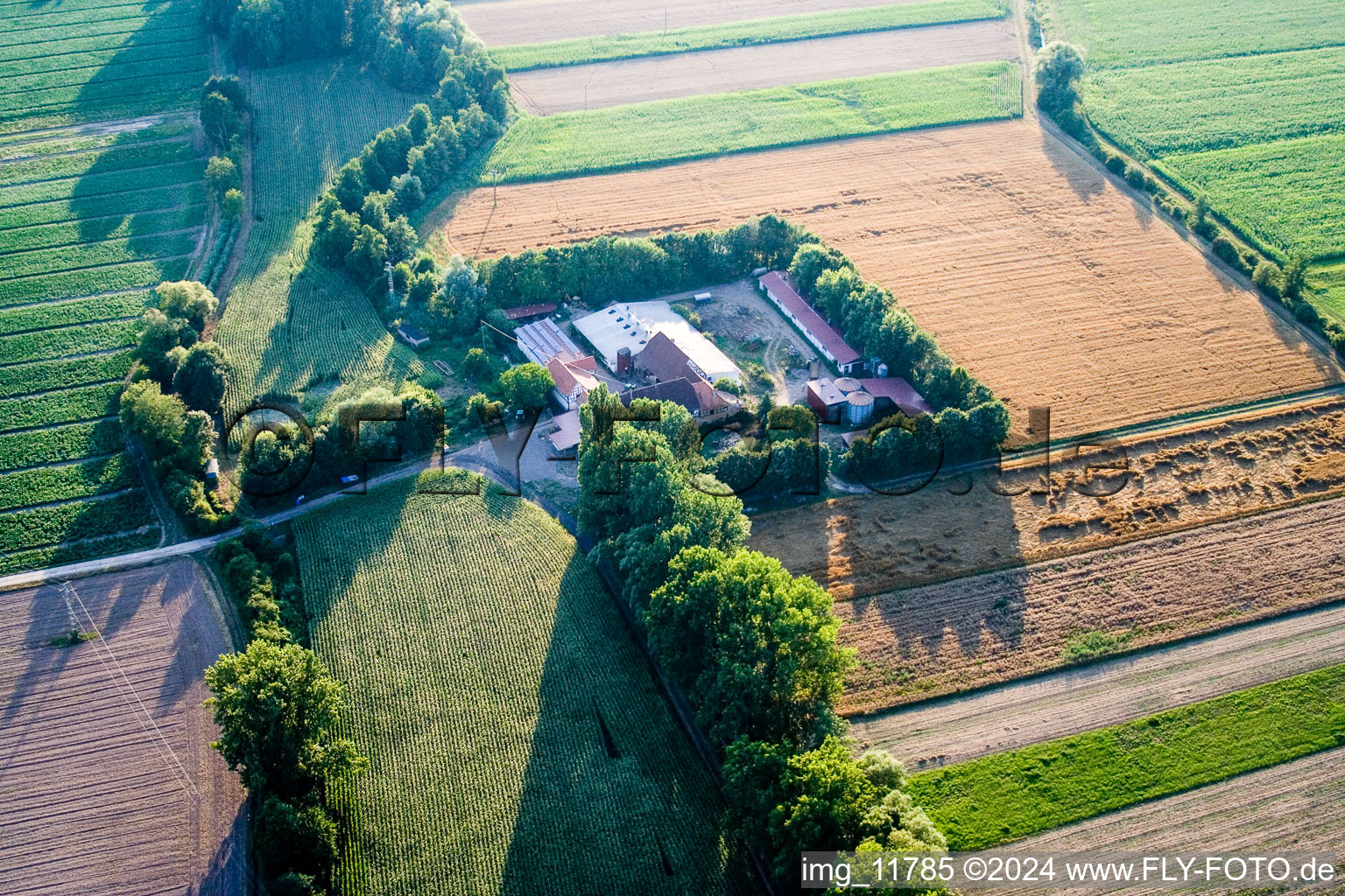 At Erlenbach, Leistenmühle in Kandel in the state Rhineland-Palatinate, Germany