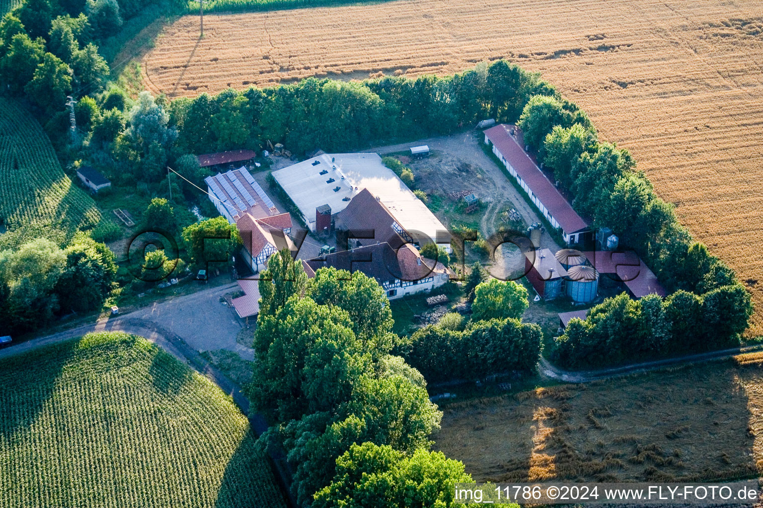 Aerial view of At Erlenbach, Leistenmühle in Kandel in the state Rhineland-Palatinate, Germany