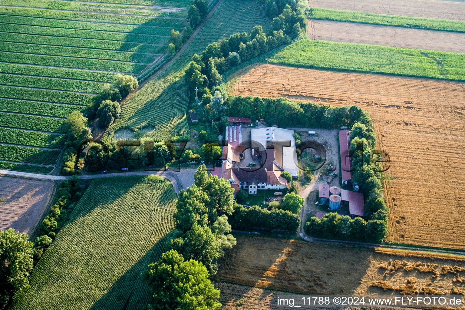 Oblique view of At Erlenbach, Leistenmühle in Kandel in the state Rhineland-Palatinate, Germany