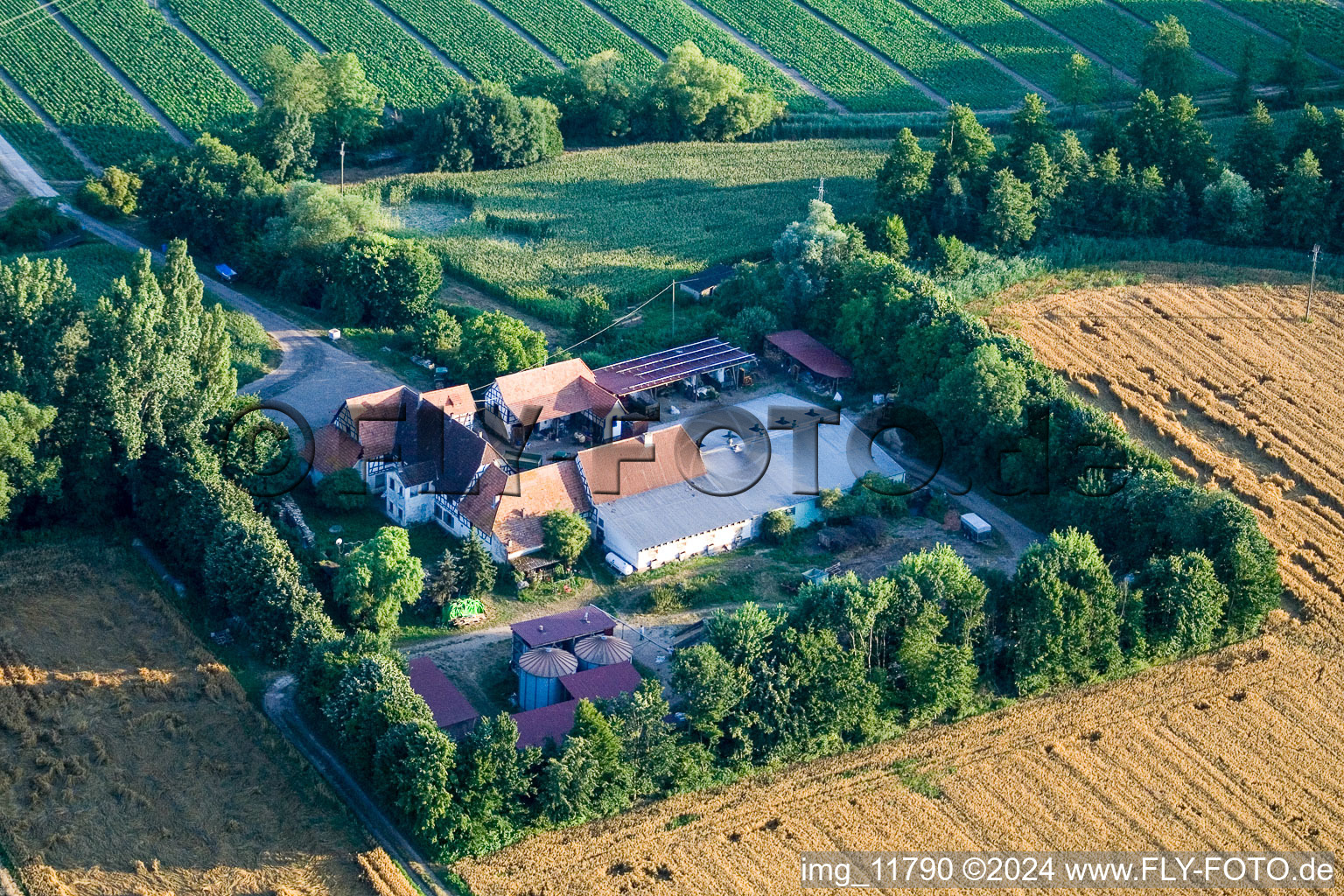 At Erlenbach, Leistenmühle in Kandel in the state Rhineland-Palatinate, Germany from above