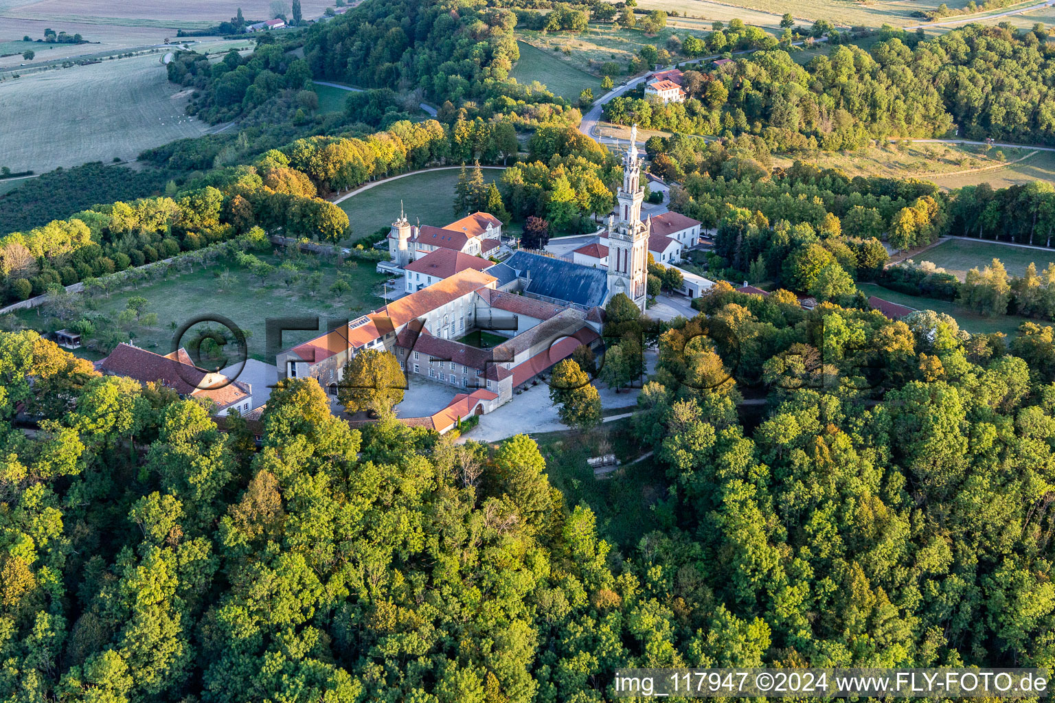 Basilica of Sion in Saxon-Sion in the state Meurthe et Moselle, France from the plane