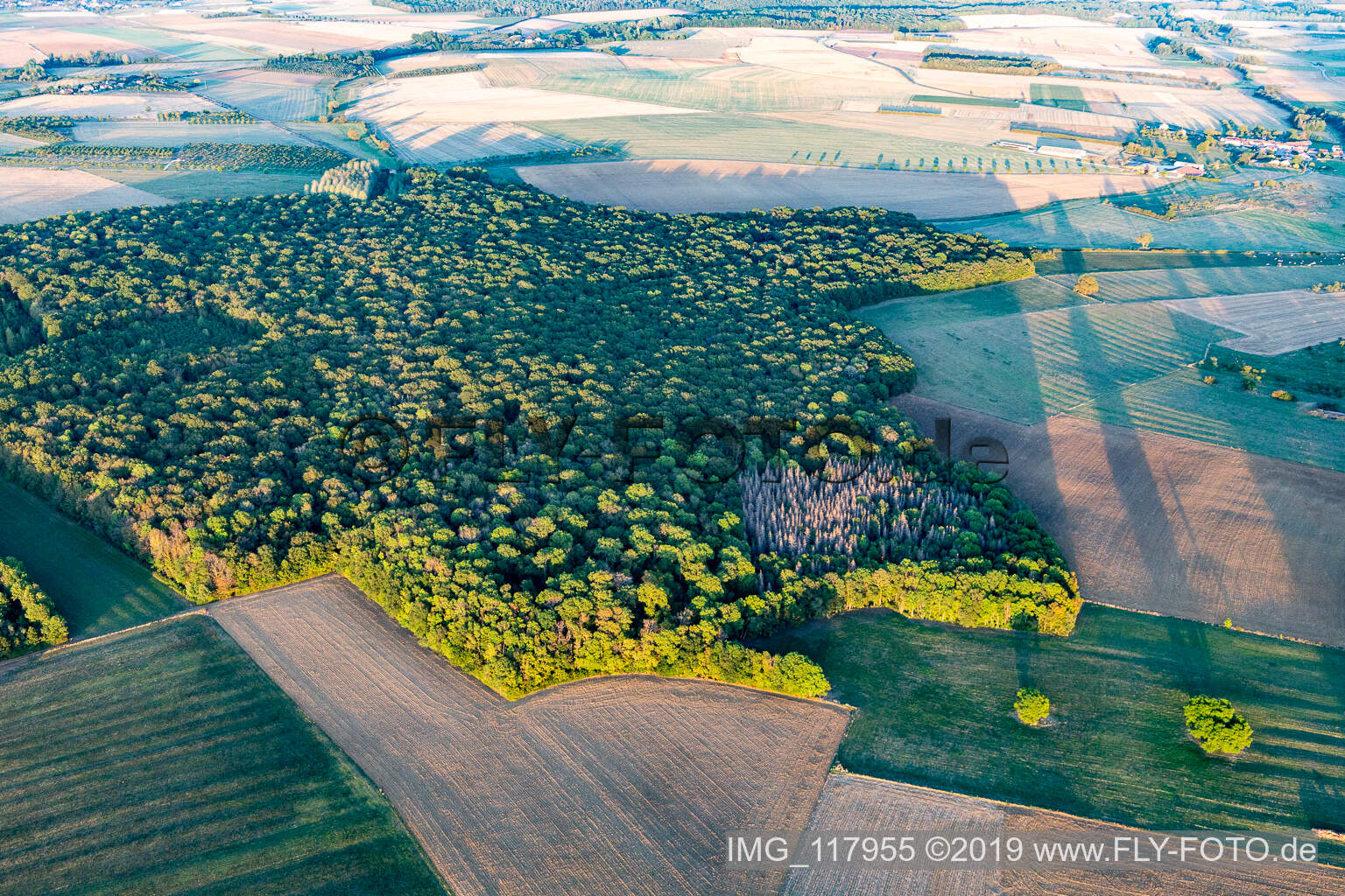 Aerial view of Forets in Chaouilley in the state Meurthe et Moselle, France