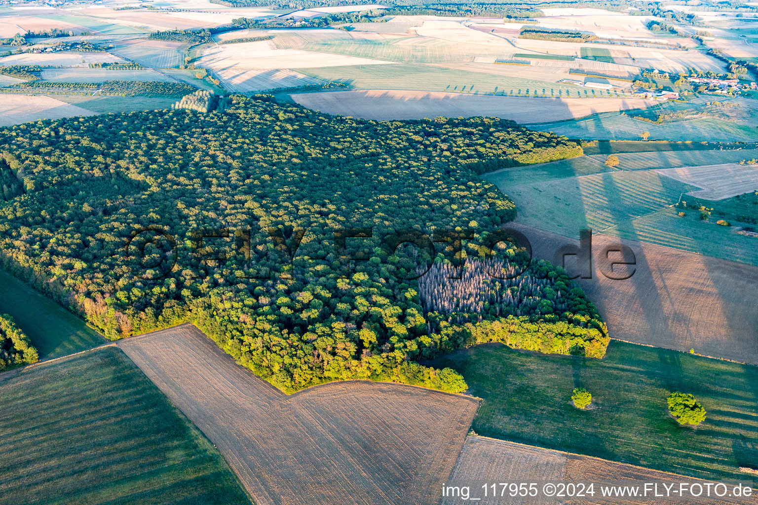 Aerial view of Forests in Chaouilley in the state Meurthe et Moselle, France