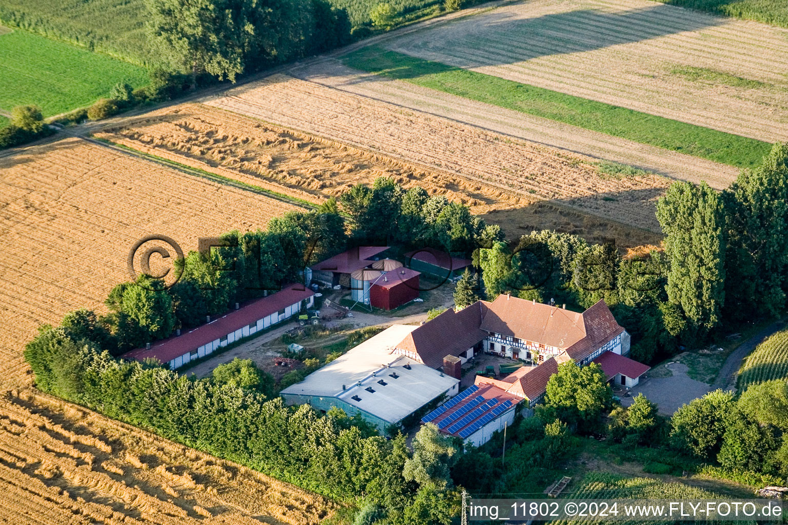 Bird's eye view of At Erlenbach, Leistenmühle in Kandel in the state Rhineland-Palatinate, Germany