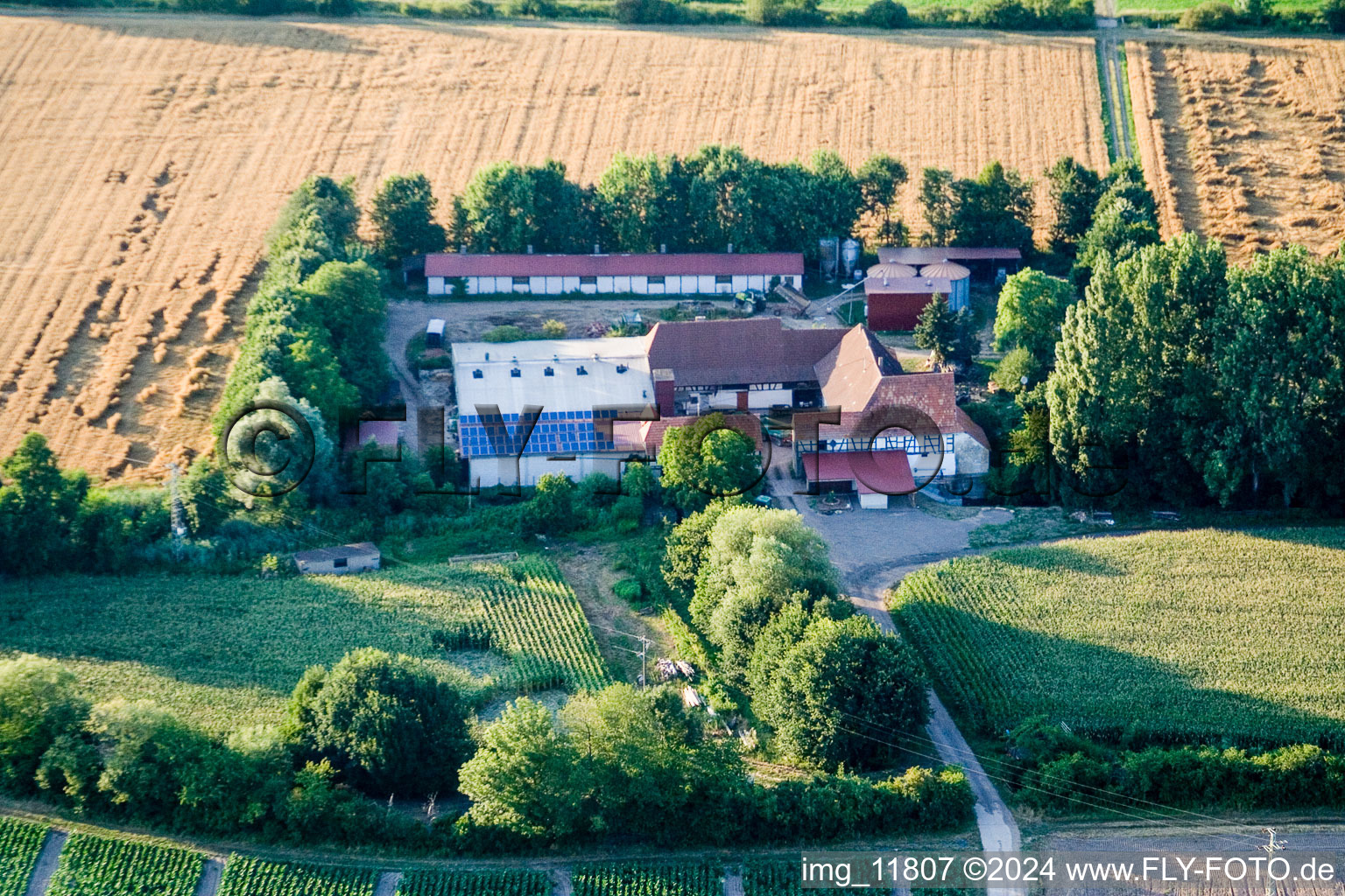 Drone image of At Erlenbach, Leistenmühle in Kandel in the state Rhineland-Palatinate, Germany