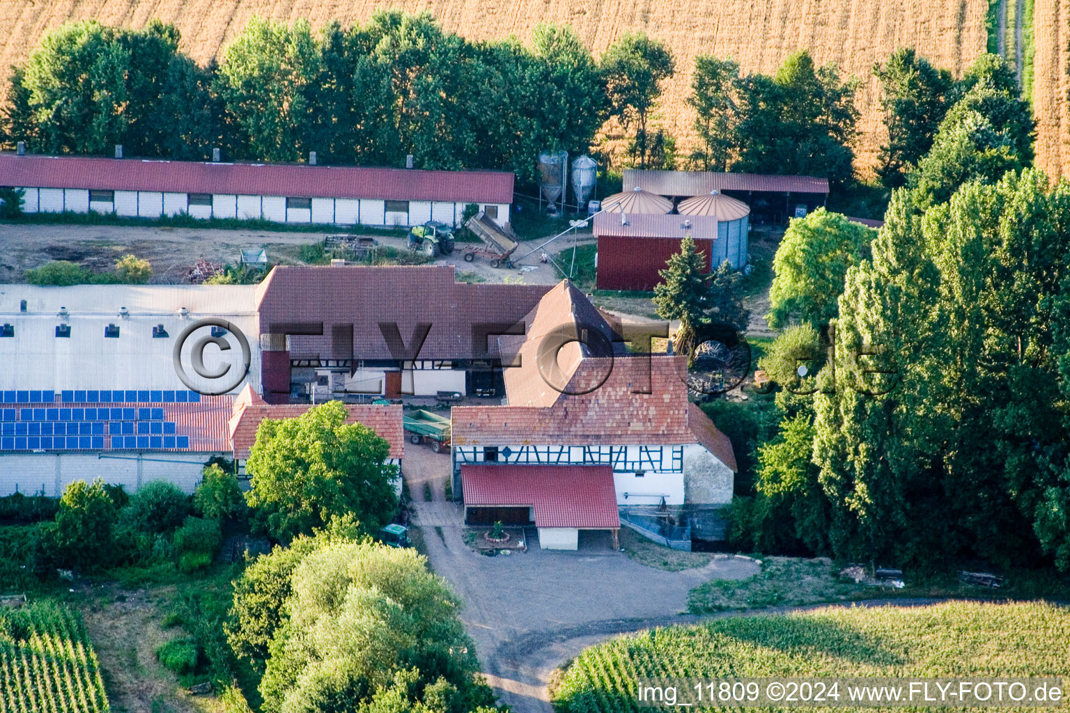 At Erlenbach, Leistenmühle in Kandel in the state Rhineland-Palatinate, Germany from a drone