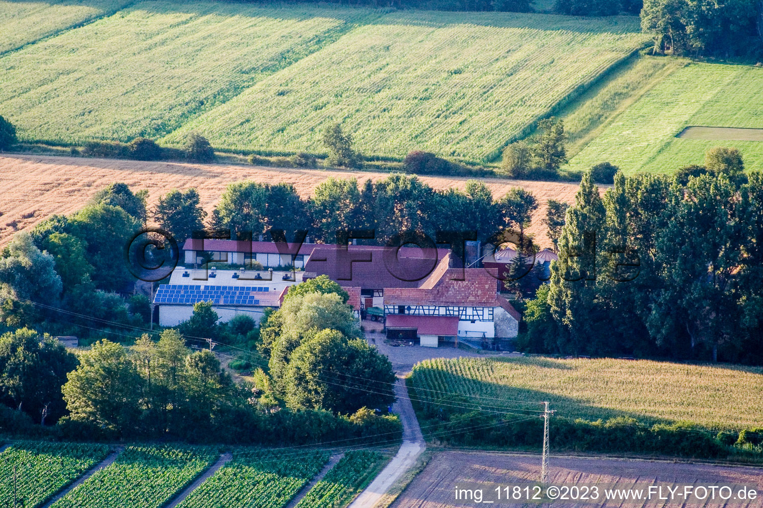 Aerial view of At Erlenbach, Leistenmühle in Kandel in the state Rhineland-Palatinate, Germany