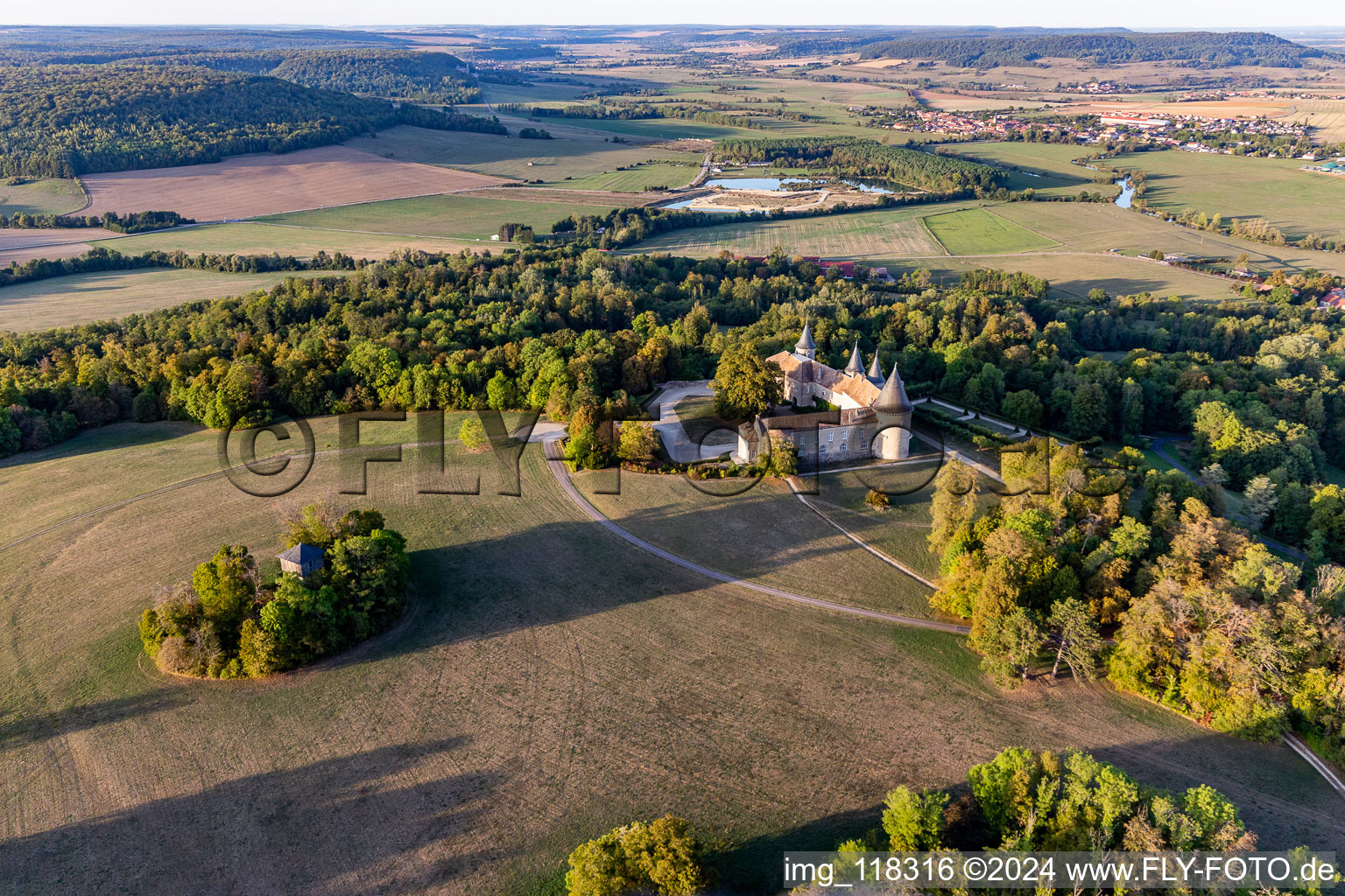 Palace Chateau de Bourlemont in Frebecourt in Grand Est, France