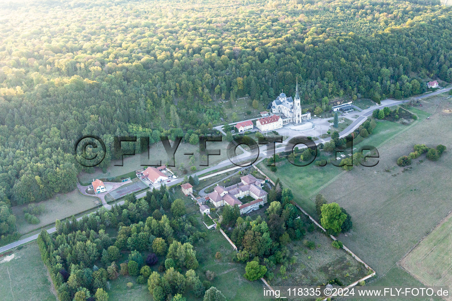 Aerial view of Basilica of Bois-Chenu in Domrémy-la-Pucelle in the state Vosges, France