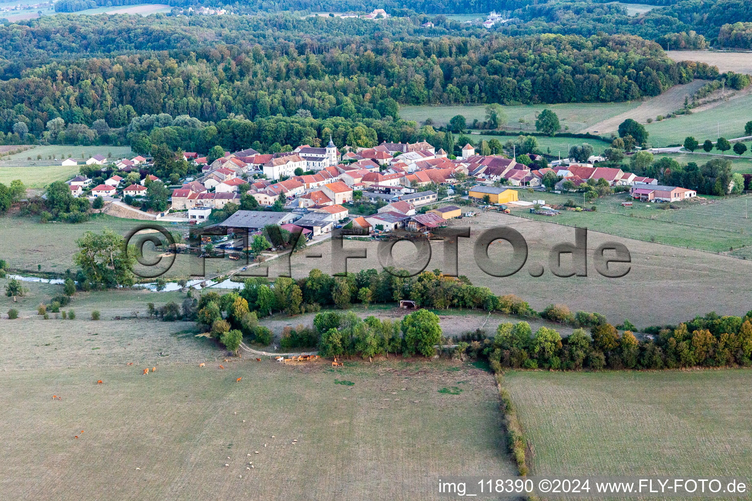 Soulosse-sous-Saint-Élophe in the state Vosges, France