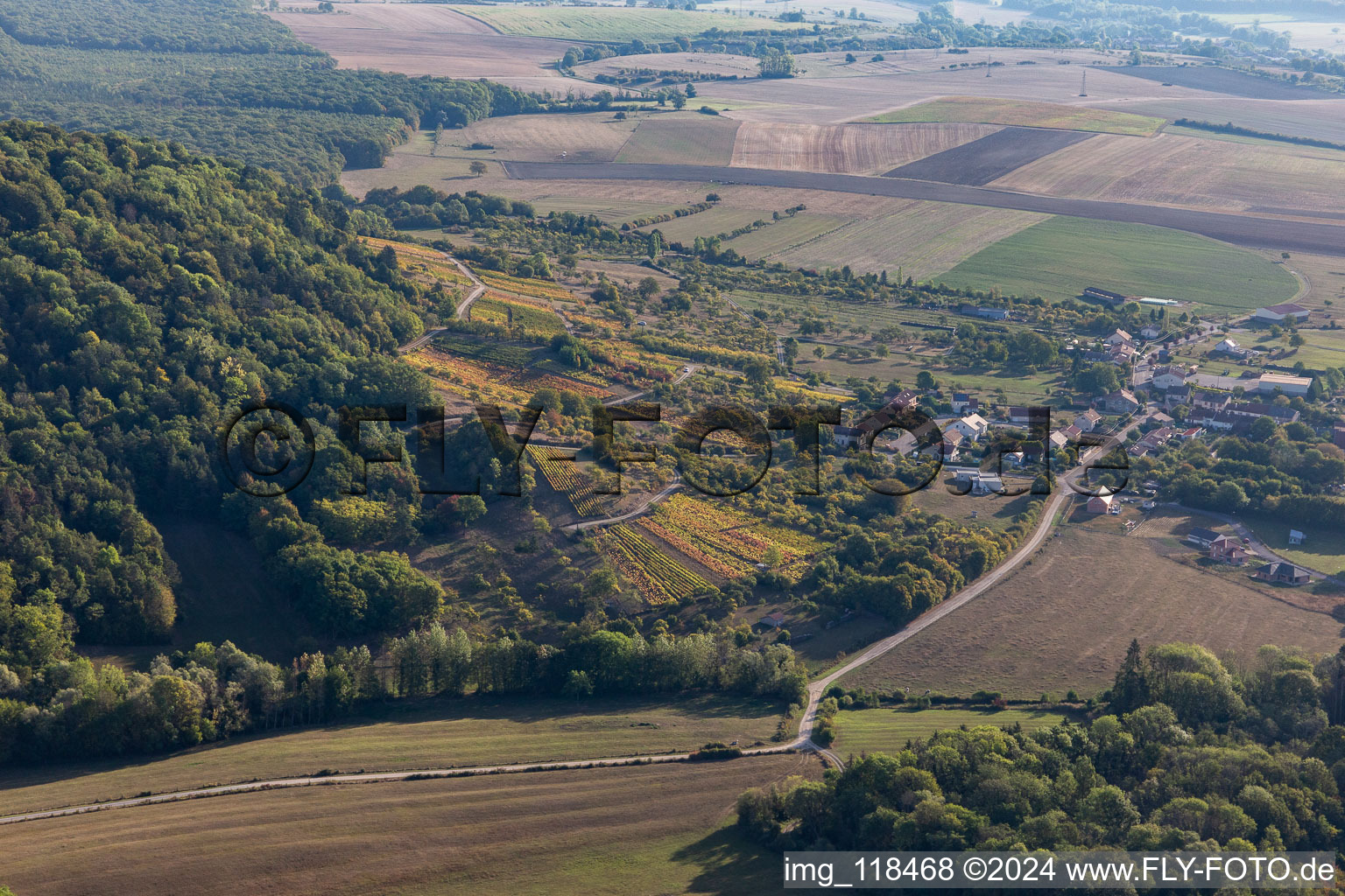 Vineyards in La Neuveville-sous-Montfort in the state Vosges, France