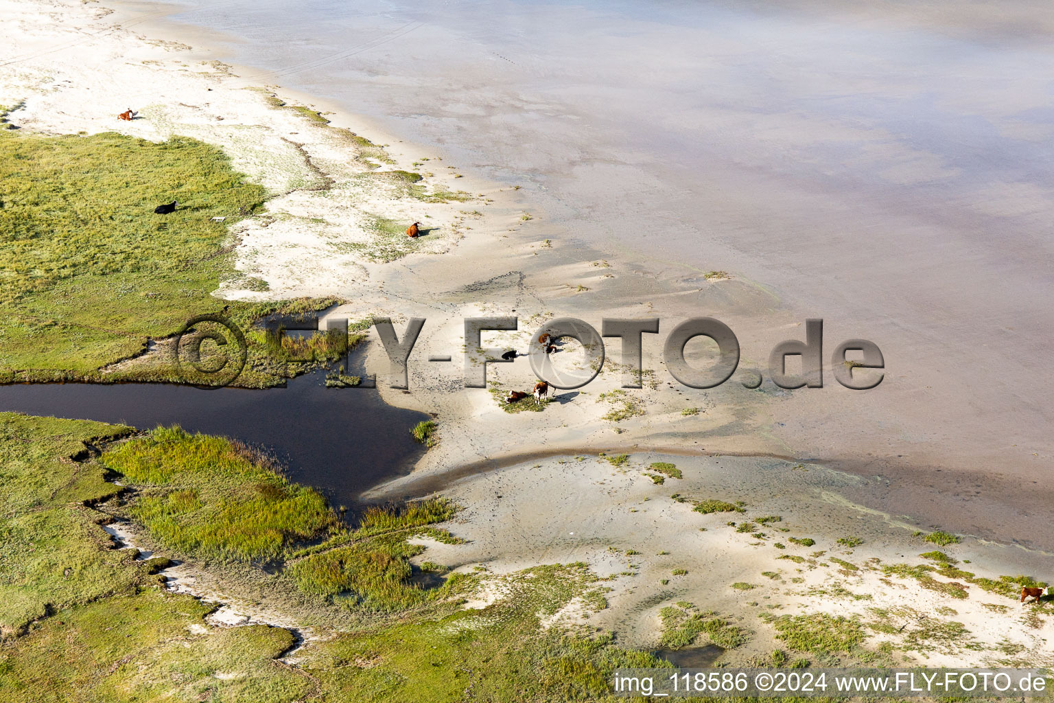 Beach landscape along the at the North Sea in Fanoe in Syddanmark, Denmark