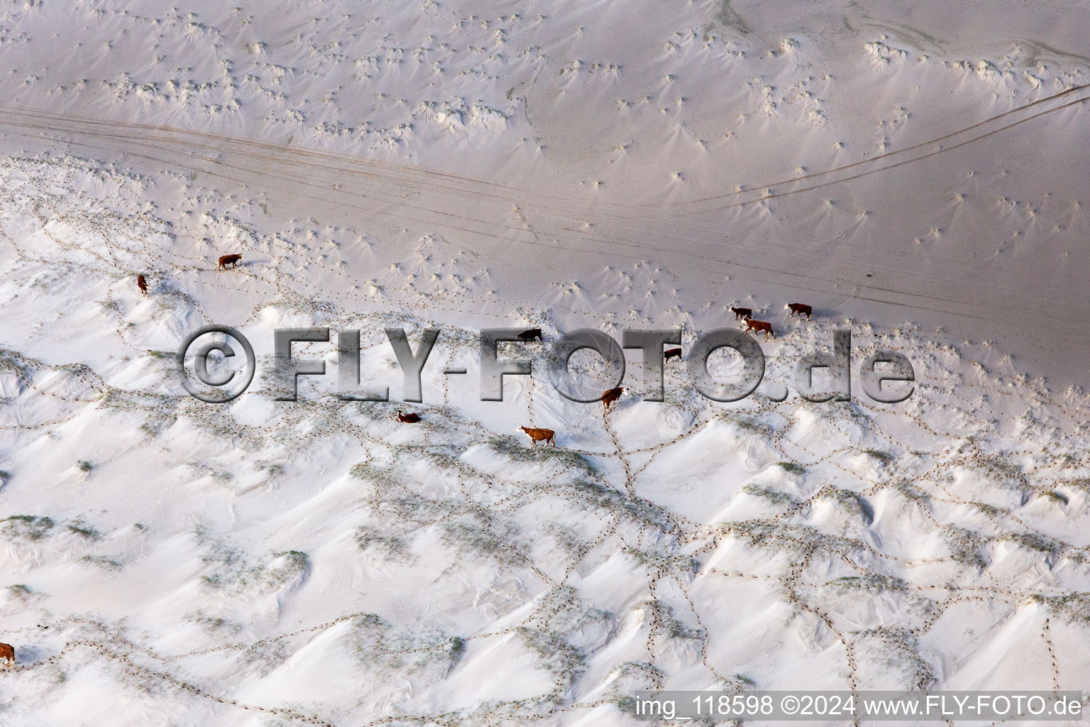 Aerial view of Beach landscape along the at the North Sea in Fanoe in Syddanmark, Denmark