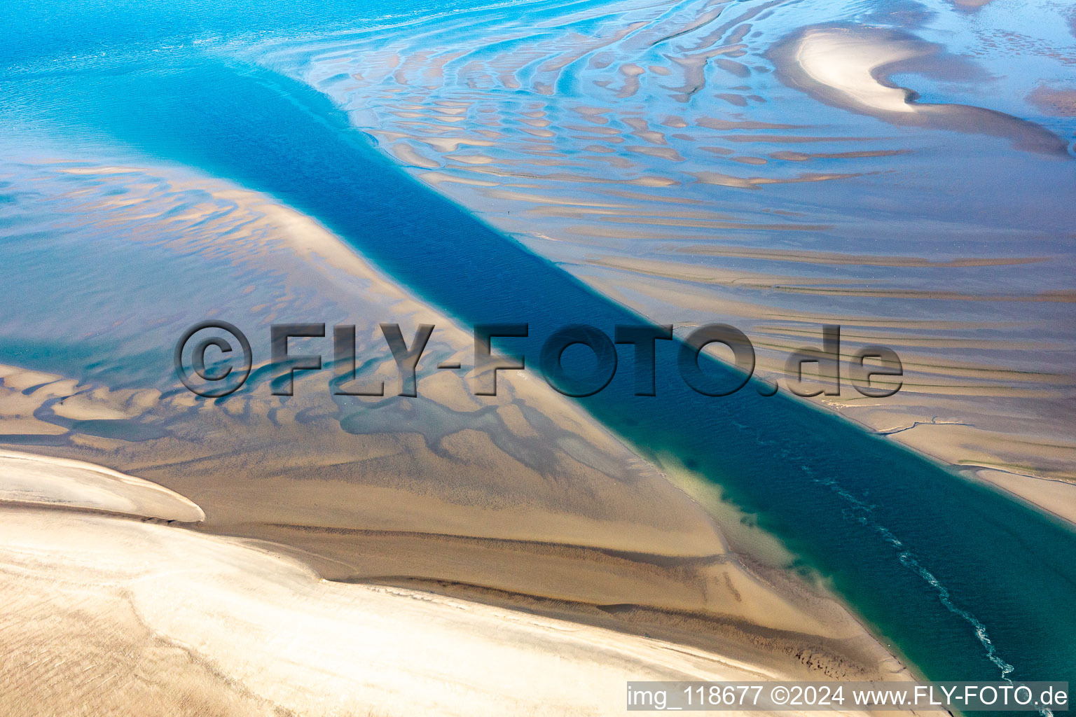 Aerial photograpy of Sea lions and harbor seals at the tidal channel to the sandbank Peter Meyers in Fanø in the state South Denmark, Denmark