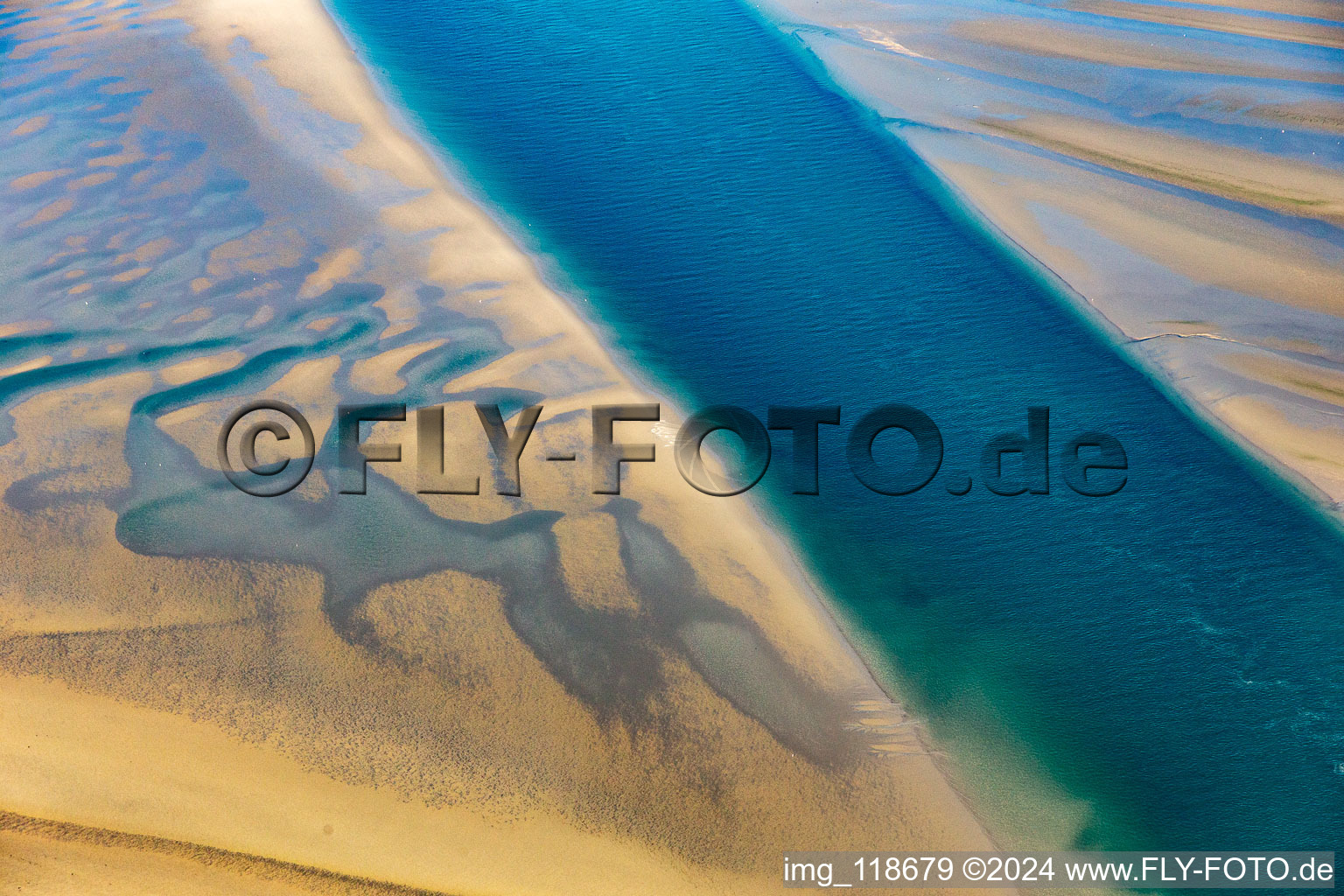 Oblique view of Sea lions and harbor seals at the tidal channel to the sandbank Peter Meyers in Fanø in the state South Denmark, Denmark